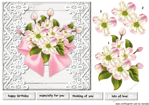 Beautiful Blossoms