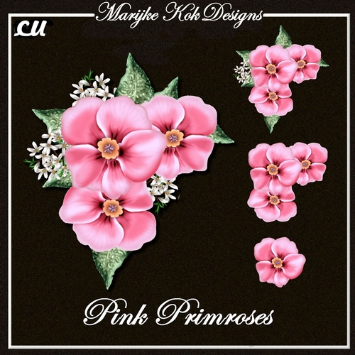 CU Beautiful Pink Primroses