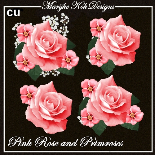 CU Pink Rose & Primroses