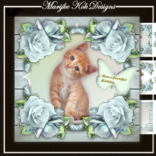 Purrrfect Birthday Mini Kit