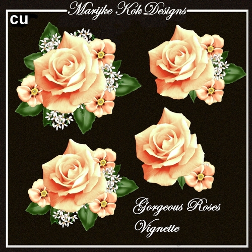 CU Gorgeous Roses