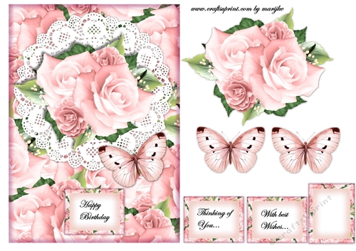 Roses Beauty 2