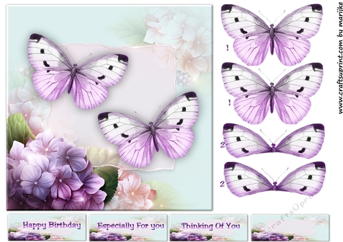Elegant Butterflies