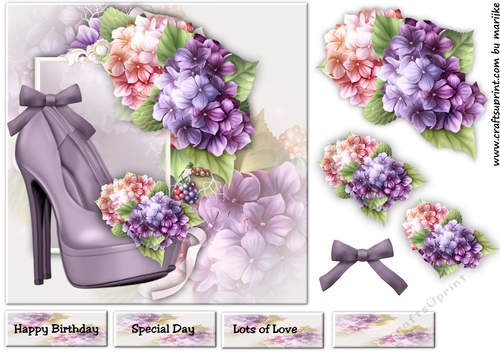 Elegant Shoes