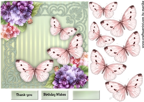 Elegant Hortensias & Butterflies