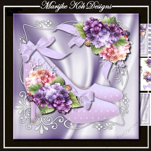 Beautiful Shoes Mini Kit