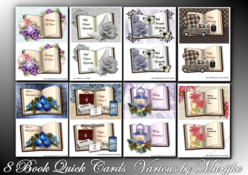Bumperkit 8 Book Quick Cards Various