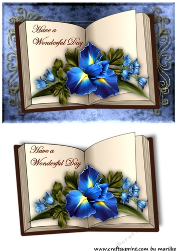 Book  Wonderful Day