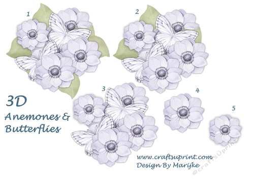 3D Anemones & Butterflies