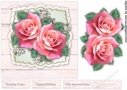 Pink Roses
