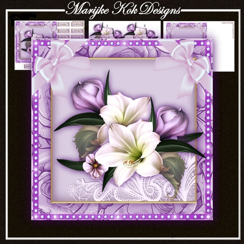 Beautiful Amaryllis Mini Kit 7x7