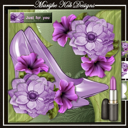 Fabulous Shoes Mini Kit