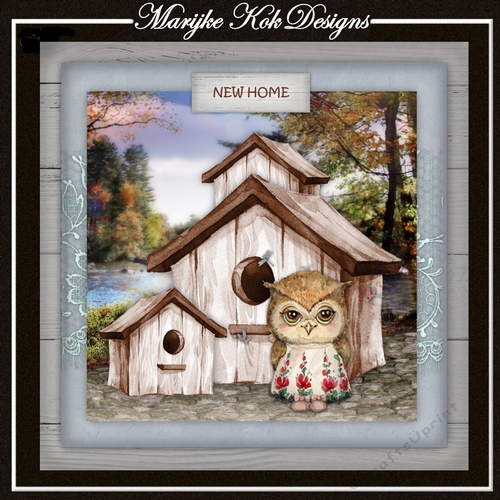 New Home Birdhouse With Cute owl