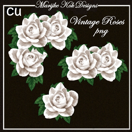 CU Vintage White Roses