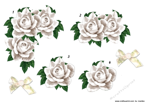 Corner Vignette White Roses Step By Step