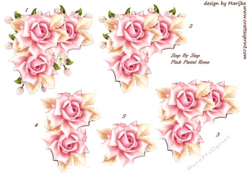 Pink pastel  Roses Step By Step