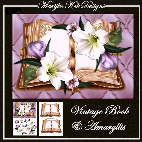 Vintage Book & Amaryllis Mini Kit 
