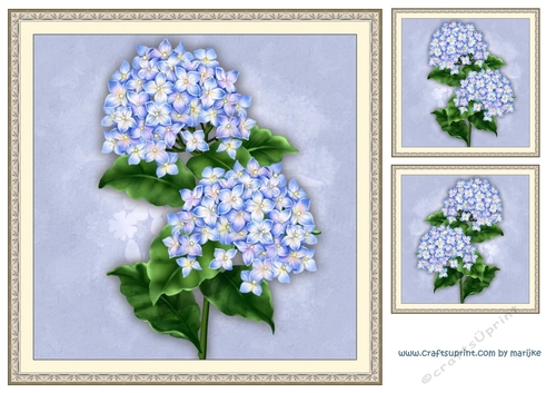 Vintage Hydrangea  Beauty  in antique frame card toppers