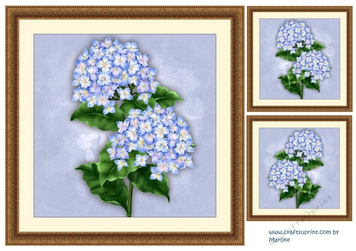Vintage Hydrangea  Beauty  in antique frame card toppers 2
