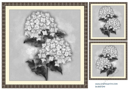 Vintage Hydrangea  Beauty  in antique frame card toppers 5 in  black & white