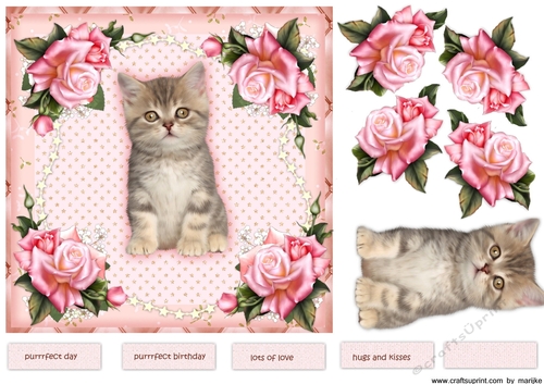 Cute Kitten Purrrfect birthday