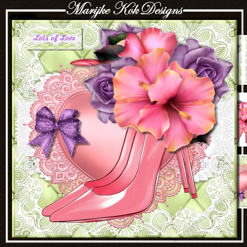 Wonderful Shoes & Hibiscus