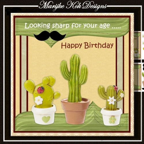 Male Card Cactus