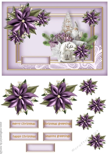 Classic Christmas Purple Poinsettia 2