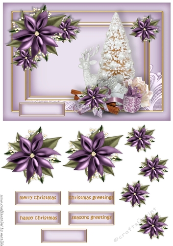 Classic Christmas Purple Poinsettia 3