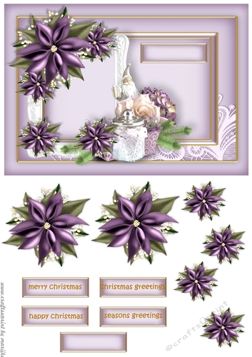 Classic Christmas Purple Poinsettia 4