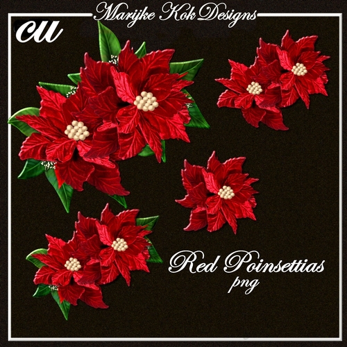 CU Designer Resources Red Poinsettias 