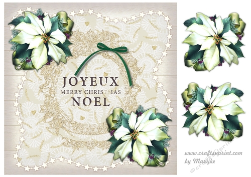 Joyeux Noel Merry Christmas 