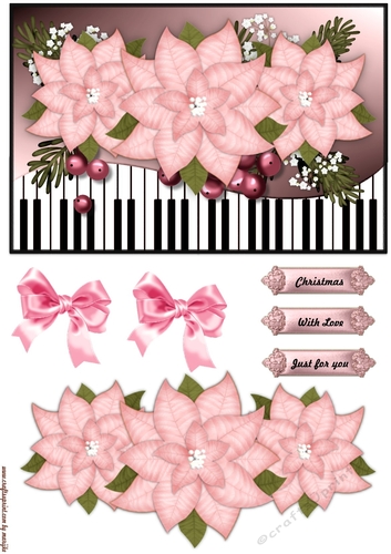 Music Pink Poinsettia