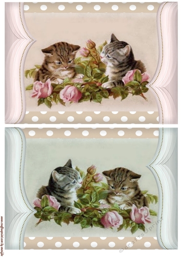 Vintage  Kittens 3