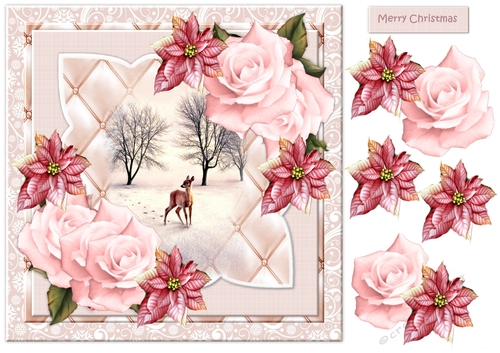 Scallop  Romantic  Christmas