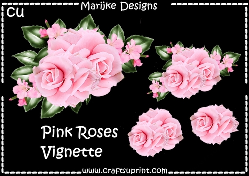 CU Pink Roses Vignette