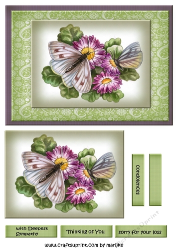 Sympathy Butterflies &  Flowers
