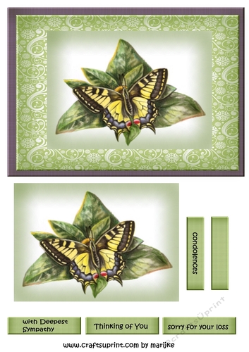 Sympathy Butterflies &  Flowers 2