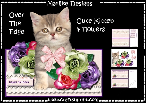 Over The Edge Cute Kitten & Flowers
