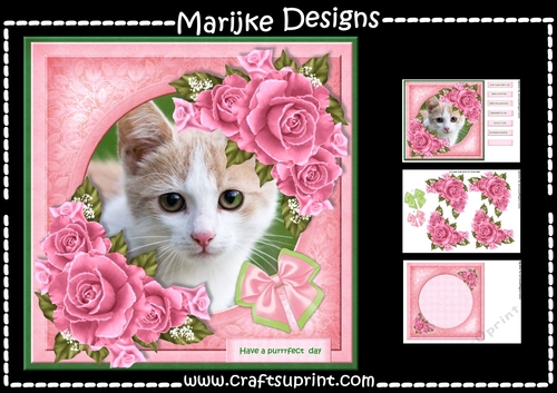 Purrrfect Pink Roses Mini Kit