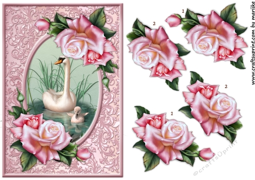 Beautiful Swan & Roses 1
