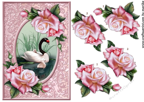 Beautiful Swan & Roses 2