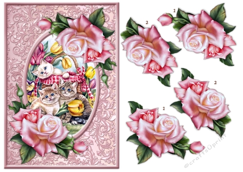 Beautiful Roses  Basket Cute Kittens