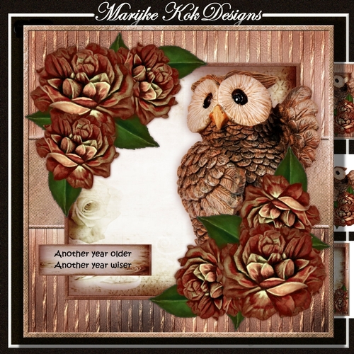 Male Card Wise Owl Mini Kit