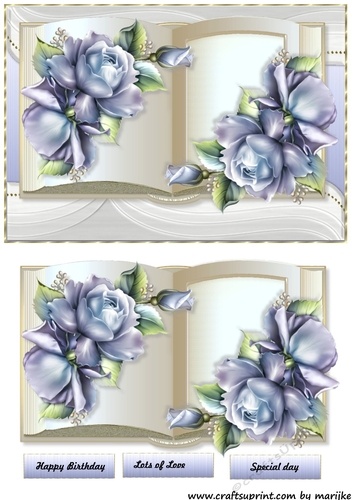 Beautiful Book & Roses