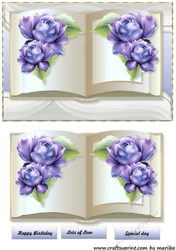 Beaitful Book & Vintage  Roses