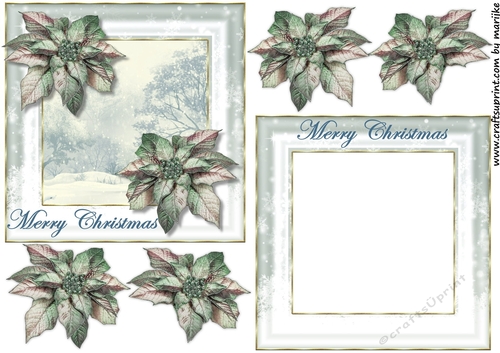 All In One  Vintage Poinsettias