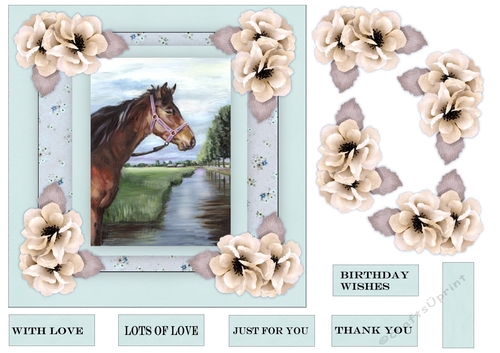 Beautiful Horse