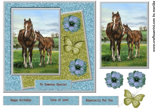 Cute Horses Birthday Girl and boy