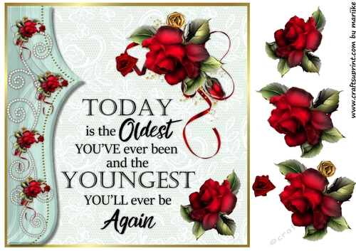 Birthday Wishes 1 Quick Card 